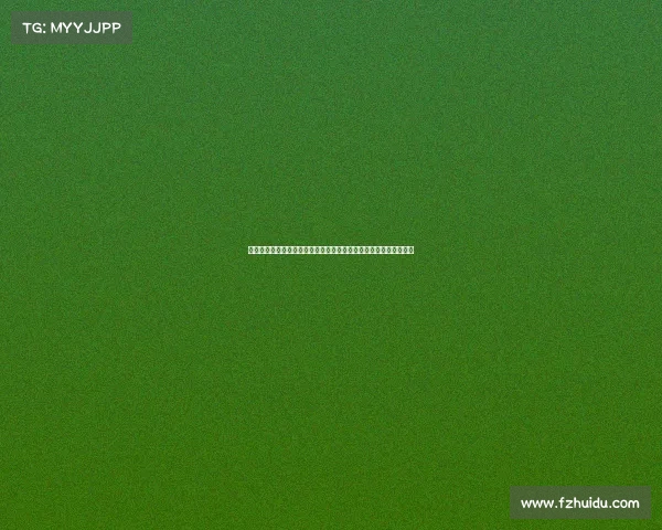 赵震建议国少应考虑本土年轻教练可以分队选拔并培养未来足球人才